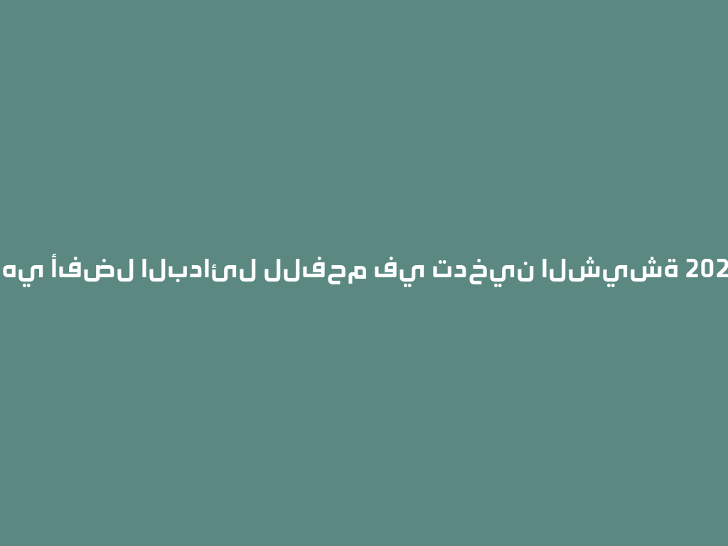 ما هي أفضل البدائل للفحم في تدخين الشيشة 2026؟ 一