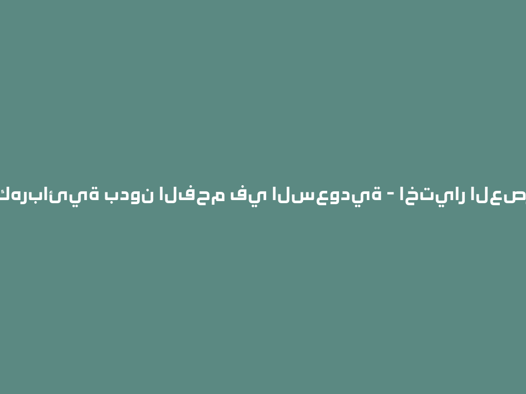 شيشة كهربائية بدون الفحم في السعودية - اختيار العصر الحديث 一