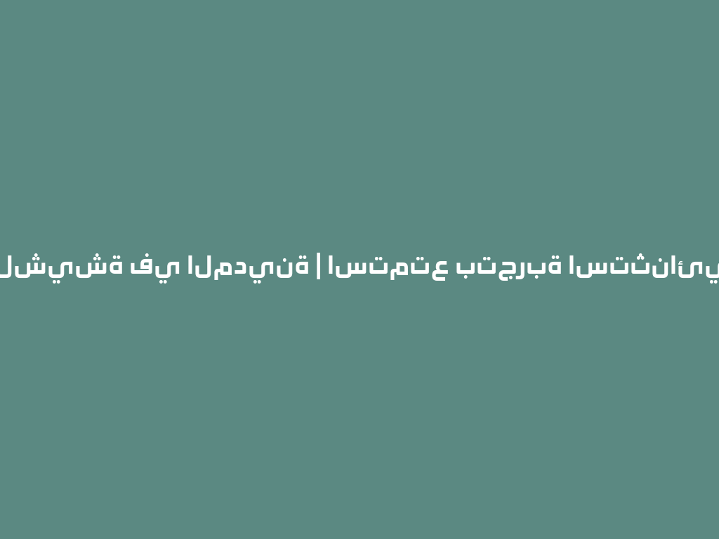 أحدث متجر لشيشة في المدينة | استمتع بتجربة استثنائية في 2026 一