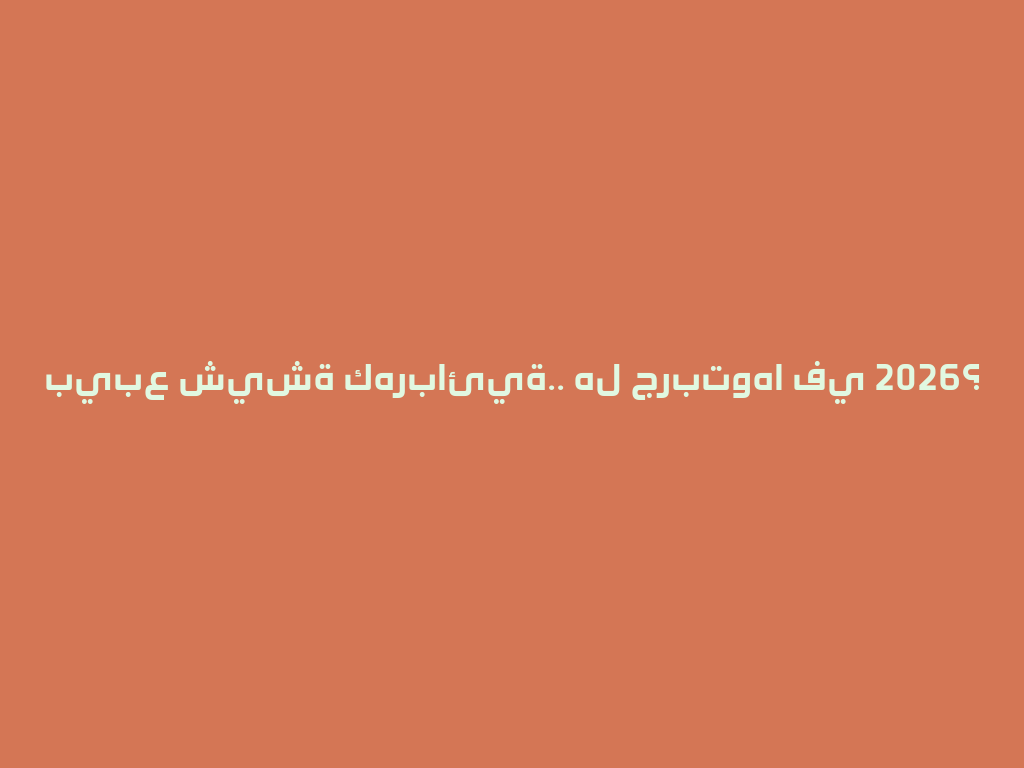 بيبع شيشة كهربائية.. هل جربتوها في 2026؟ 一