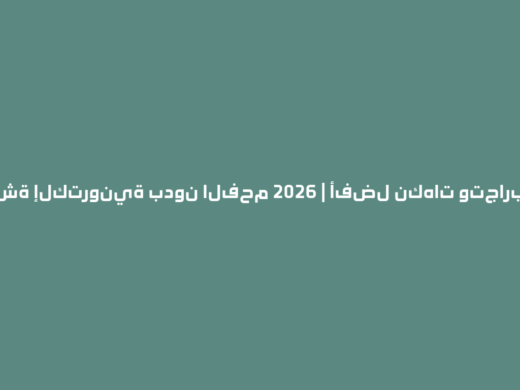 أفضل شيشة إلكترونية بدون الفحم 2026 | أفضل نكهات وتجارب للنرجيلة 一