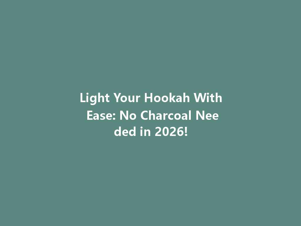 Light Your Hookah With Ease: No Charcoal Needed in 2026! 一