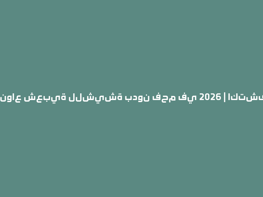 أكثر الأنواع شعبية للشيشة بدون فحم في 2026 | اكتشفها الآن! 一