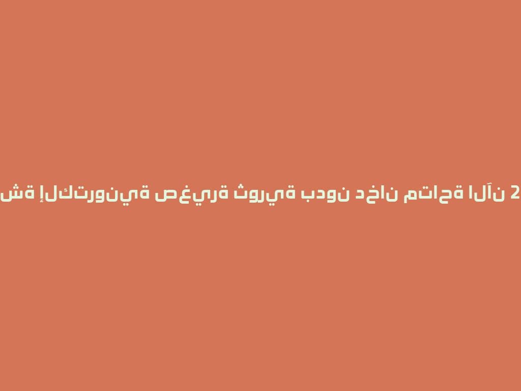 شيشة إلكترونية صغيرة ثورية بدون دخان متاحة الآن 2026年! 一