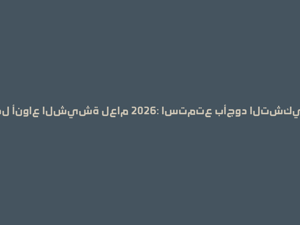 أفضل أنواع الشيشة لعام 2026: استمتع بأجود التشكيلات! 一