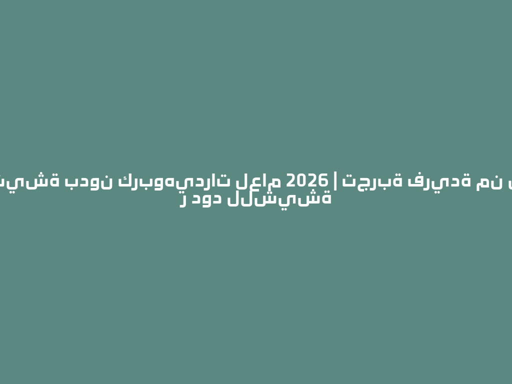 أفضل رؤوس شيشة بدون كربوهيدرات لعام 2026 | تجربة فريدة من نوعها في متجر دود للشيشة 一