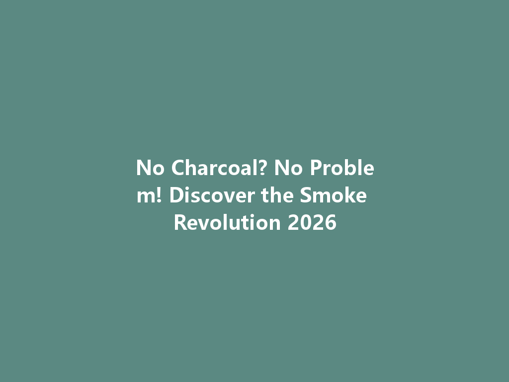 No Charcoal? No Problem! Discover the Smoke Revolution 2026 一