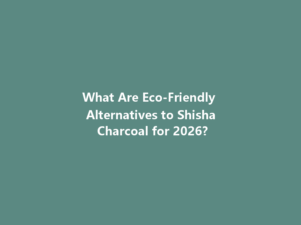 What Are Eco-Friendly Alternatives to Shisha Charcoal for 2026? 一