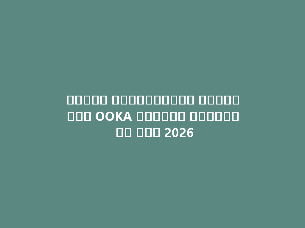 الششة الكهربائية المتطورة OOKA لصناعة الشيشة في عام 2026 一