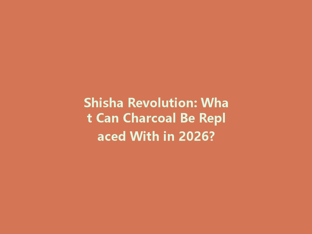 Shisha Revolution: What Can Charcoal Be Replaced With in 2026? 一